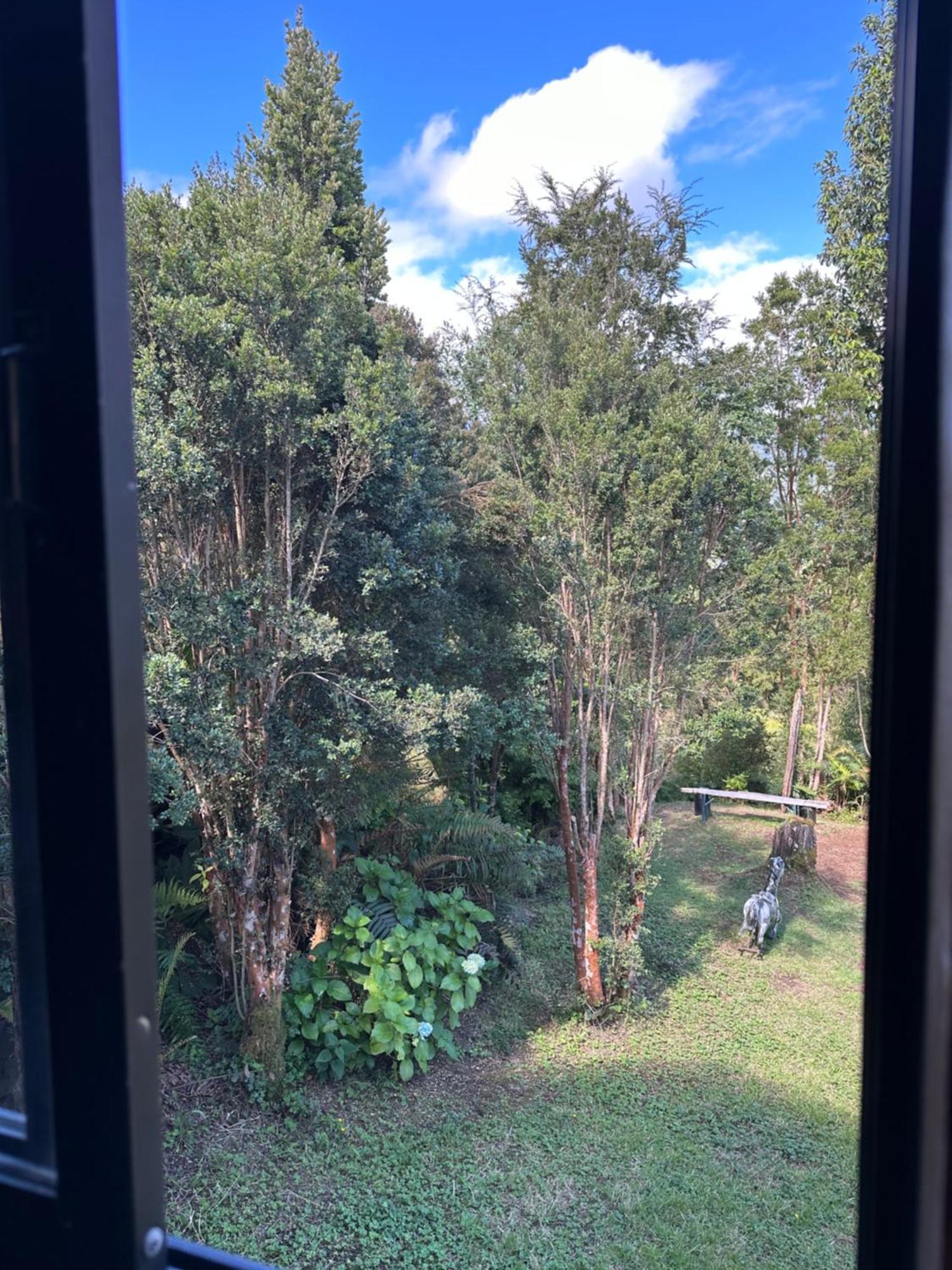 Cabanas Kuyen Austral Hornopiren Buitenkant foto
